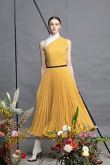 Melody Pleated Dress